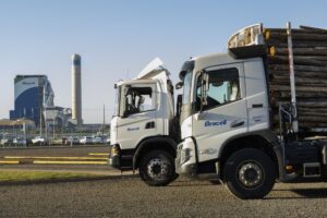 Bracell abre 120 vagas em Lençóis