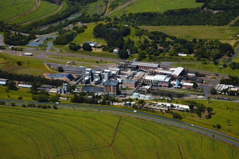 A Zilor Energia e Alimentos vive um novo ciclo de crescimento e comemora resultados